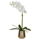 Uttermost Cami Orchid with Brass Pot – white faux orchids with reindeer moss accents in hammered brass pot