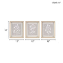 Fair Florets - Printed Framed Graphic (Set of 3) - Beige - Madison Park - Framed Print Sets - Elite Enclave Home