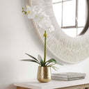 Uttermost Cami Orchid with Brass Pot – white faux orchids with reindeer moss accents in hammered brass pot