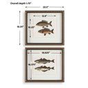 The Catch - Framed Fish Prints (Set of 2) - Black / Brown / Gray / Green / Orange / Woodtone