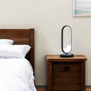 Metal Desk LED Table Lamp - Black