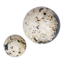 Nouveau - Indoor - Outdoor Spheres (Set of 2) - Black / White - Uttermost - Sculptures & Figurines - Elite Enclave Home