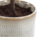 Solea Olive - Accent & Textured Vase - Brown / Green - Uttermost - Plants - Elite Enclave Home