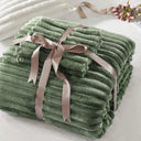 Avril - Full/Queen Fluffy Ribbed Plush Comforter Set - Green - Intelligent Design - Comforters & Sets - Elite Enclave Home