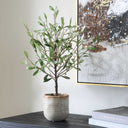 Solea Olive - Accent & Textured Vase - Brown / Green - Uttermost - Plants - Elite Enclave Home