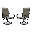 Steel Indoor Outdoor Dining Chair (Set of 2) - Gray And Black