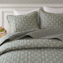 Linwood - King/California King 3 Piece Ruffle Printed Quilt Set - Sage Green - Madison Park - Quilts & Shams - Elite Enclave Home