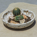 Quarried Stone - Indoor-Outdoor Bowl - Brown
