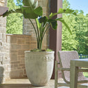 Uttermost Timeless Terrace Outdoor Planter – White reinforced concrete with carved band detail