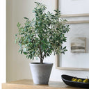 Marisol - Potted Olive Plant - Gray / Green - Uttermost - Plants - Elite Enclave Home