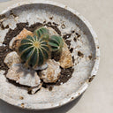 Quarried Stone - Indoor-Outdoor Bowl - Brown