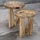 Nadette - Nesting Tables (Set of 2) - Natural