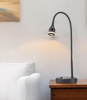 Metal LED Adjustable Desk Lamp - Matte Black