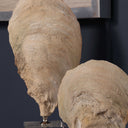 Oyster - Shell Sculptures (Set of 2) - Beige