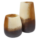 Desert Wind - Glass Vases (Set of 2)