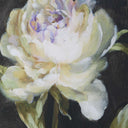 Florals On Black - Framed Prints (Set of 4) - Black - Uttermost - Framed Print Sets- Elite Enclave Home