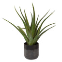 Uttermost Tucson Aloe Planter – Black ceramic pot with textured matte & gloss glazes, preserved aloe and moss accent 