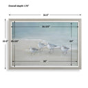 Tranquil Shorebirds On The Sand - Framed Print - Light Gray