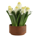 Sincerity - Potted Hyacinth Plant - Green