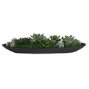 Verde - Succulent Centerpiece In Bowl - Black / Green - Uttermost - Plants - Elite Enclave Home