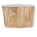 Norwest - Petrified Wood Coffee Table - Natural
