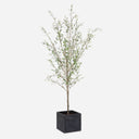 Uttermost Abundance Potted Olive Tree – lush olive foliage in aged charcoal concrete cube with faux soil