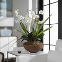 Uttermost Moth Orchid Planter – White moth orchids in natural brown dish garden with mixed foliage