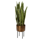 Uttermost Fasita Brass Planter (Set of 2) – Green faux snake plants in antique brass pots with matte black metal stands