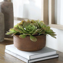 Sable Succulent - Accent In Pot - Brown / Green - Uttermost - Plants - Elite Enclave Home
