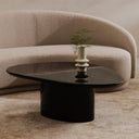 Eden - Coffee Table - Black - Moe's Home Collection - Coffee Tables - Elite Enclave Home