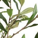 Uttermost Abundance Potted Olive Tree – lush olive foliage in aged charcoal concrete cube with faux soil