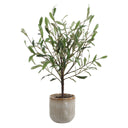 Solea Olive - Accent & Textured Vase - Brown / Green - Uttermost - Plants - Elite Enclave Home