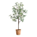 Uttermost Olea Potted Olive Tree – Green foliage and fruit clusters in scallop-detailed terracotta concrete planter
