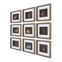 Resting Bunny - Framed Prints (Set of 9) - Dark Brown - Uttermost - Framed Prints- Elite Enclave Home