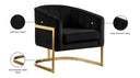 Carter - Chair - Meridian Furniture - Accent Chairs - Elite Enclave Home