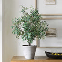 Marisol - Potted Olive Plant - Gray / Green - Uttermost - Plants - Elite Enclave Home