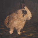 Resting Bunny - Framed Prints (Set of 9) - Dark Brown - Uttermost - Framed Prints- Elite Enclave Home