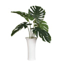 Muse - Monstera Vase Centerpiece - Green / White - Uttermost - Plants - Elite Enclave Home