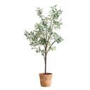 Uttermost Olea Potted Olive Tree – Green foliage and fruit clusters in scallop-detailed terracotta concrete planter