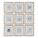 Nature's - Script Framed Botanical Prints (Set of 9) - Gold / Green / White