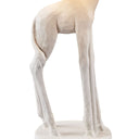 Textured Giraffe Table Lamp With White Drum Shade - White