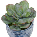 Uttermost Puebla set of 3 blue & white ceramic pots with preserved greenery, succulent & grass trio