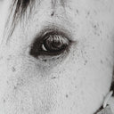 Eye Of The Beholder - Framed Print - White