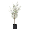 Uttermost Abundance Potted Olive Tree – lush olive foliage in aged charcoal concrete cube with faux soil