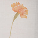 Wild Flourish - Framed Floral Prints (Set of 6) - Light Brown - Uttermost - Framed Prints- Elite Enclave Home