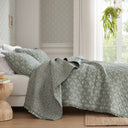 Linwood - Queen 3 Piece Ruffle Printed Quilt Set - Sage Green - Madison Park - Quilts & Shams - Elite Enclave Home