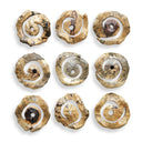 Corkscrew - Wood Wall Decor (Set of 9) - Light Brown