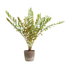 Uttermost Zamia Palm Accent Plant - lush green foliage in rustic concrete planter