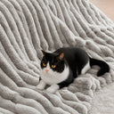 Jasmine - Full/Queen Ultrasoft Ribbed Comforter Set - Light Gray - Madison Park - Comforters & Sets - Elite Enclave Home