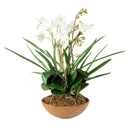 Uttermost Moth Orchid Planter – White moth orchids in natural brown dish garden with mixed foliage